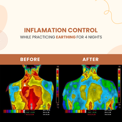 Earthing & Grounding Pillow Case